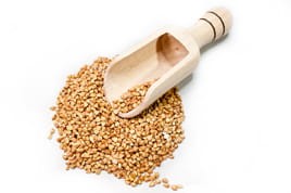 KASZA GRYCZANA PALONA.jpg