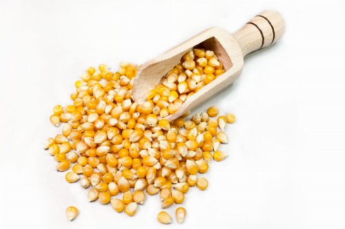 KUKURYDZA POPCORN ZIARNO.jpg