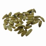 OSTROPEST PLAMISTY ZIARNO 0,5 KG