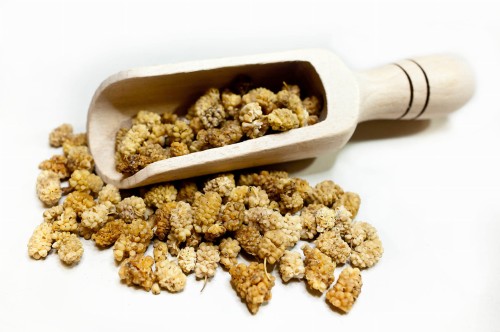 MORWA BIAŁA SUSZONE OWOCE .jpg