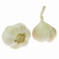 CZOSNEK  POLSKI 1 KG.jpg