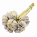 CZOSNEK HARNAŚ POLSKI PĘCZEK 10 SZT KALIBER 4,5 - 5,5mm