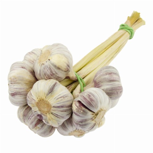 CZOSNEK HARNAŚ POLSKI PĘCZEK 10 SZT.jpg