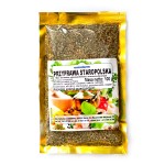 PRZYPRAWA STAROPOLSKA 100 G