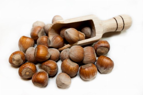 ORZECHY LASKOWE W SKORUPIE.jpg